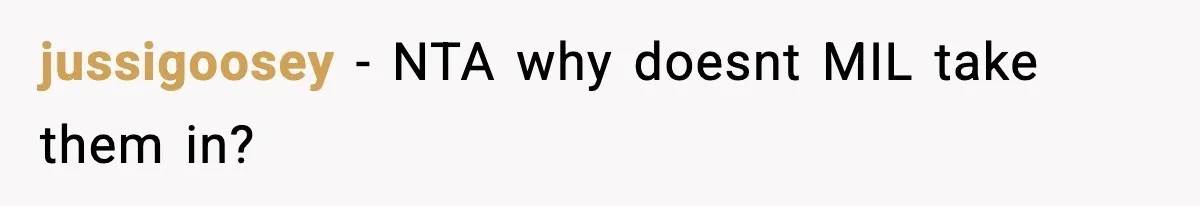 jussigoosey − NTA why doesnt MIL take them in?
