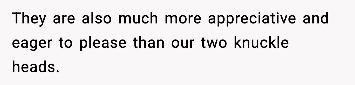 They are also much more appreciative and eager to please than our two knuckle heads.