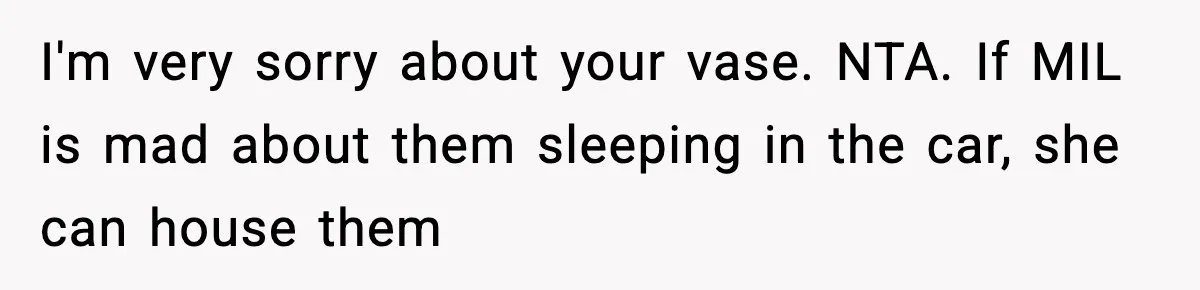I'm very sorry about your vase. NTA. If MIL is mad about them sleeping in the car, she can house them