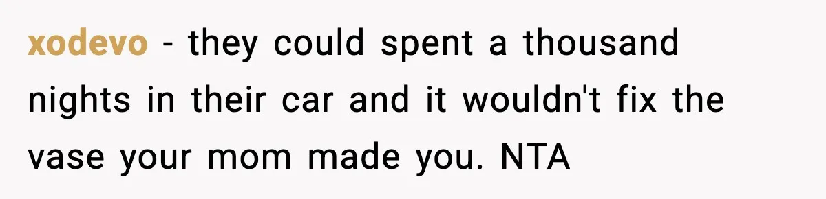xodevo − they could spent a thousand nights in their car and it wouldn't fix the vase your mom made you. NTA