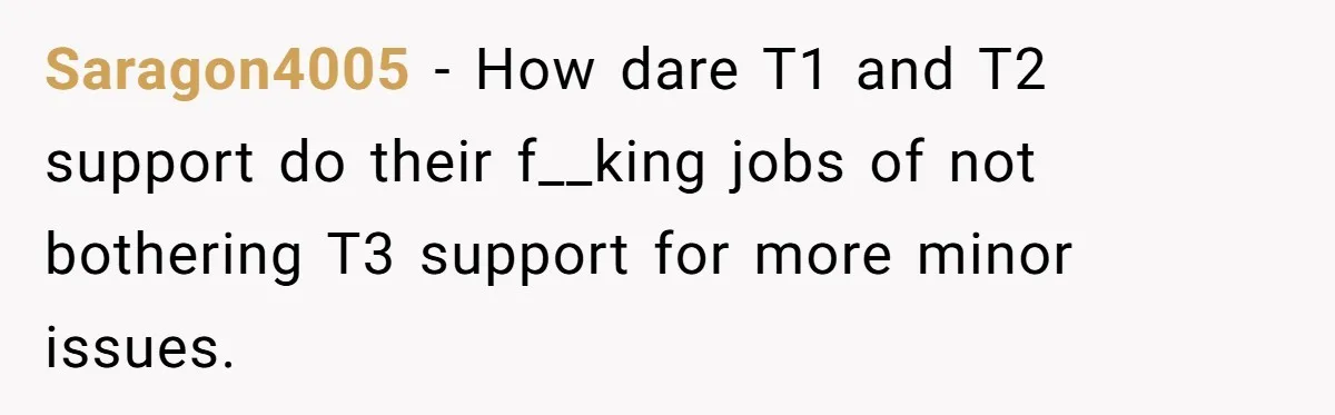 Saragon4005 − How dare T1 and T2 support do their f__king jobs of not bothering T3 support for more minor issues.