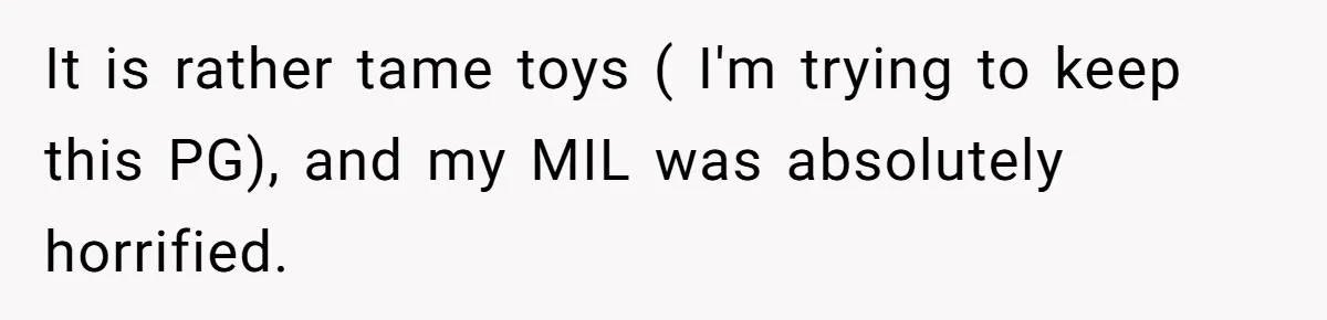 It is rather tame toys ( I'm trying to keep this PG), and my MIL was absolutely horrified.