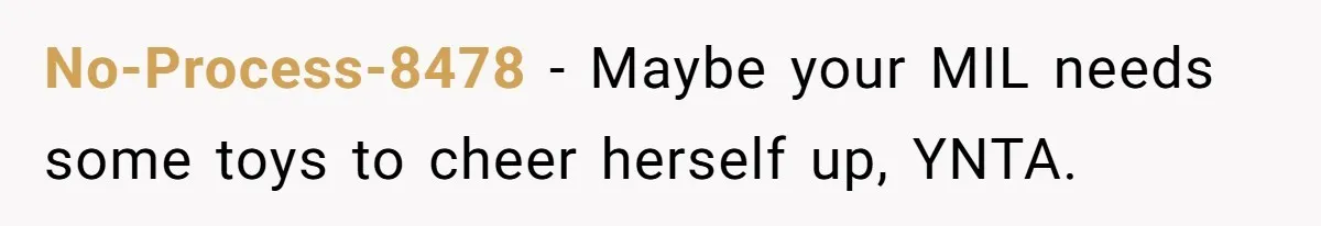 No-Process-8478 − Maybe your MIL needs some toys to cheer herself up, YNTA.