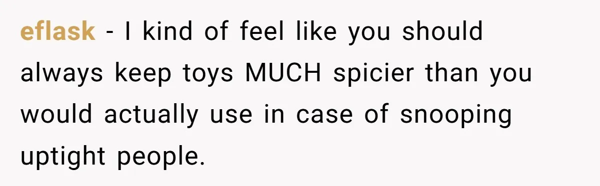 eflask − I kind of feel like you should always keep toys MUCH spicier than you would actually use in case of snooping uptight people.