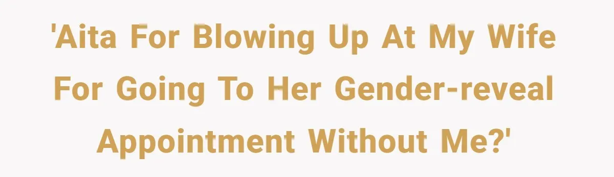 Man Skips Baby’s Gender Appointment For A Party, Then Blows Up When His Wife Goes Anyway 'AITA for blowing up at my wife for going to her gender-reveal appointment without me?'