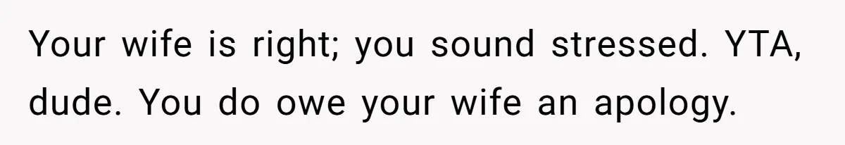 Man Skips Baby’s Gender Appointment For A Party, Then Blows Up When His Wife Goes Anyway Your wife is right; you sound stressed. YTA, dude. You do owe your wife an apology.