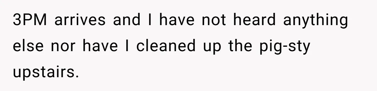 3PM arrives and I have not heard anything else nor have I cleaned up the pig-sty upstairs.