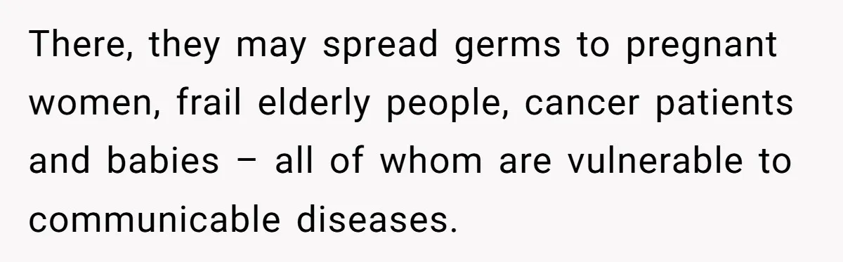 There, they may spread germs to pregnant women, frail elderly people, cancer patients and babies – all of whom are vulnerable to communicable diseases.