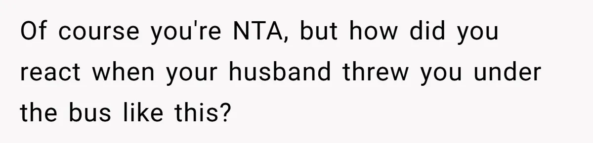 Of course you're NTA, but how did you react when your husband threw you under the bus like this?