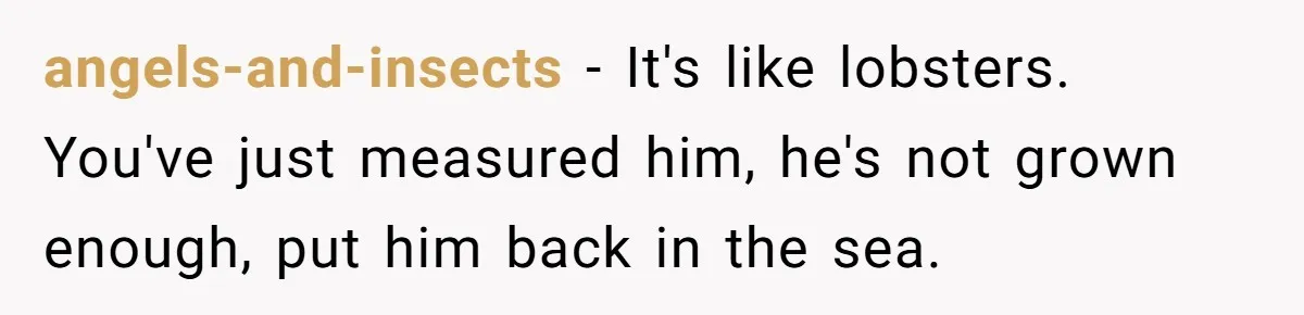 Boyfriend Explodes Over Girlfriend's Innocent Hospital Photo, Then He Tells His Mom It "Triggers Anxiety" angels-and-insects − It's like lobsters. You've just measured him, he's not grown enough, put him back in the sea.