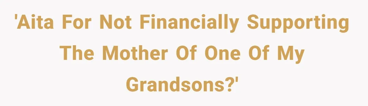 'AITA for not financially supporting the mother of one of my grandsons?'