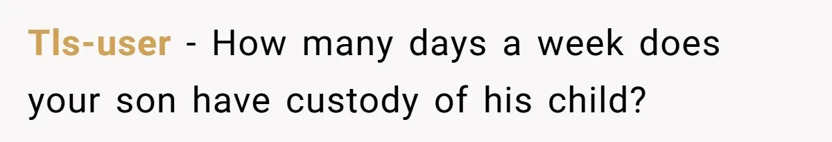 Tls-user − How many days a week does your son have custody of his child?