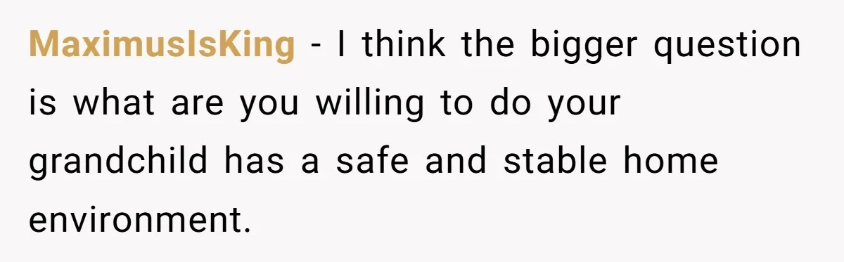 MaximusIsKing − I think the bigger question is what are you willing to do your grandchild has a safe and stable home environment.