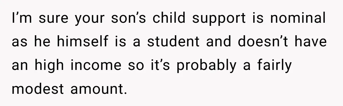 I’m sure your son’s child support is nominal as he himself is a student and doesn’t have an high income so it’s probably a fairly modest amount.