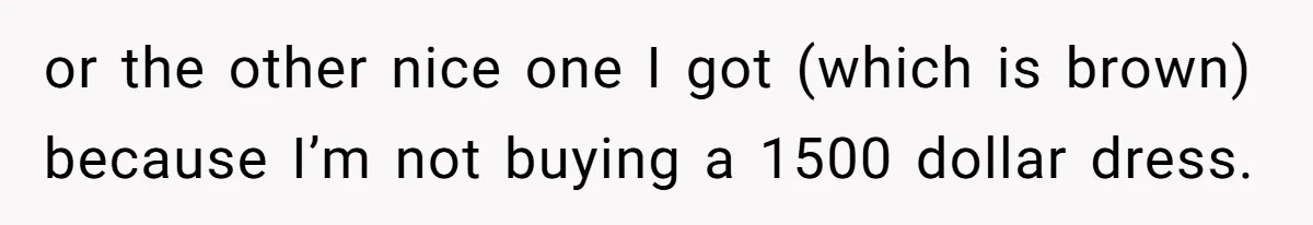 or the other nice one I got (which is brown) because I’m not buying a 1500 dollar dress.