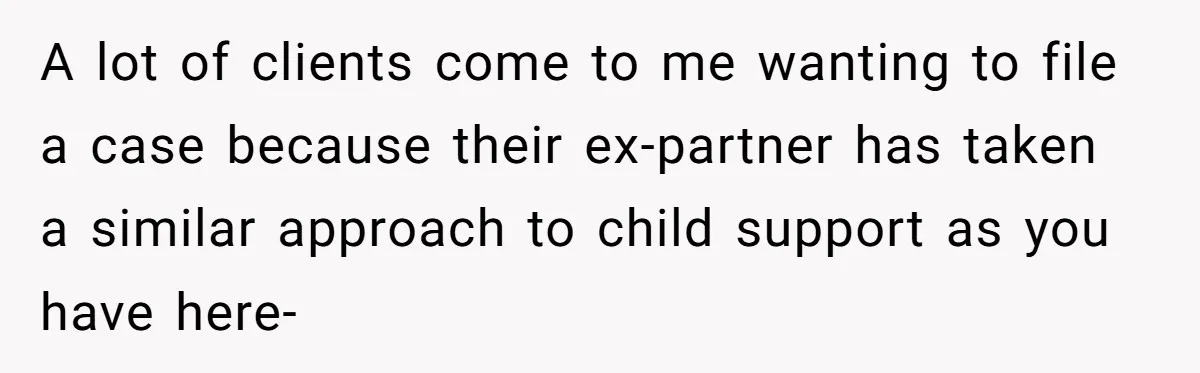 A lot of clients come to me wanting to file a case because their ex-partner has taken a similar approach to child support as you have here-