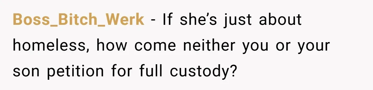 Boss_Bitch_Werk − If she’s just about homeless, how come neither you or your son petition for full custody?