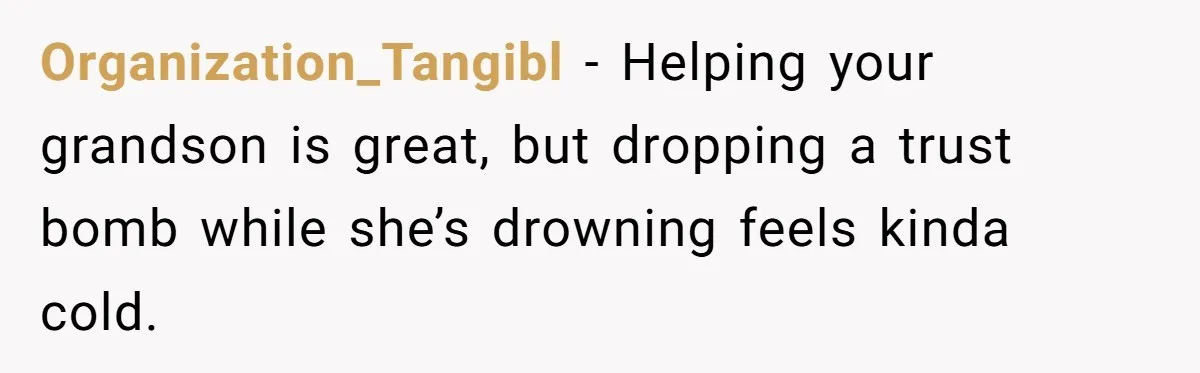 Organization_Tangibl − Helping your grandson is great, but dropping a trust bomb while she’s drowning feels kinda cold.