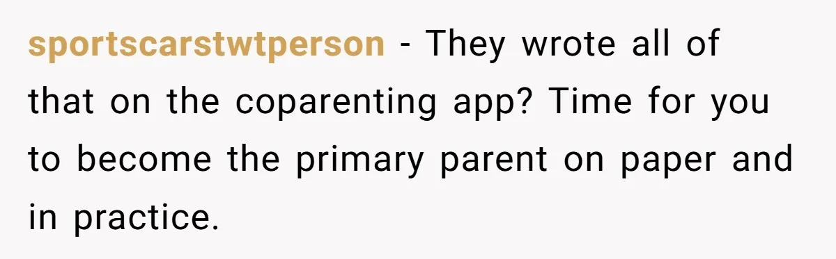 sportscarstwtperson − They wrote all of that on the coparenting app? Time for you to become the primary parent on paper and in practice.