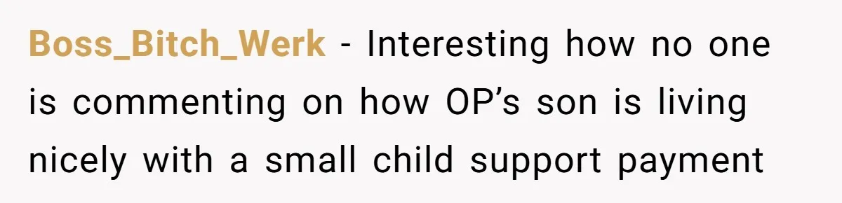Boss_Bitch_Werk − Interesting how no one is commenting on how OP’s son is living nicely with a small child support payment