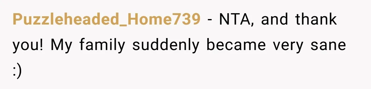 Puzzleheaded_Home739 − NTA, and thank you! My family suddenly became very sane :)