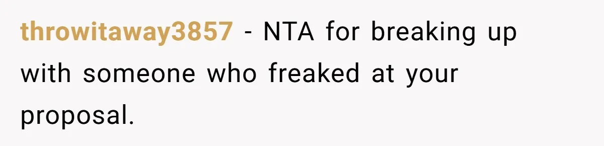 throwitaway3857 − NTA for breaking up with someone who freaked at your proposal.