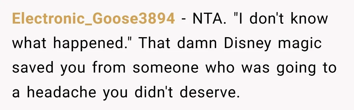 Electronic_Goose3894 − NTA. "I don't know what happened." That damn Disney magic saved you from someone who was going to a headache you didn't deserve.