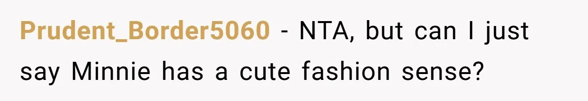 Prudent_Border5060 − NTA, but can I just say Minnie has a cute fashion sense?