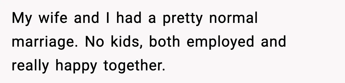 My wife and I had a pretty normal marriage. No kids, both employed and really happy together.