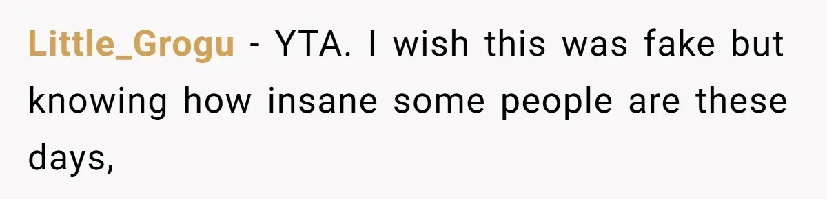 Little_Grogu − YTA. I wish this was fake but knowing how insane some people are these days,