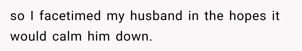 so I facetimed my husband in the hopes it would calm him down.