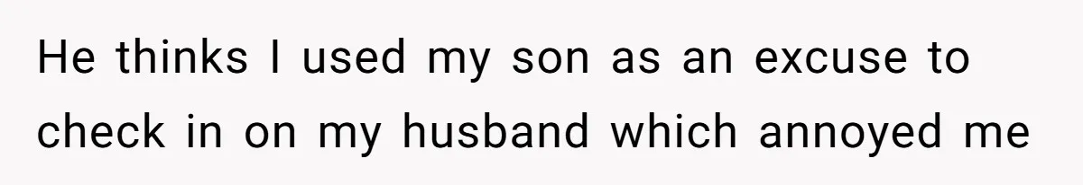 He thinks I used my son as an excuse to check in on my husband which annoyed me