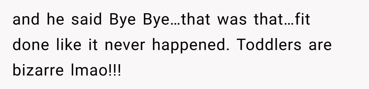 and he said Bye Bye…that was that…fit done like it never happened. Toddlers are bizarre lmao!!!