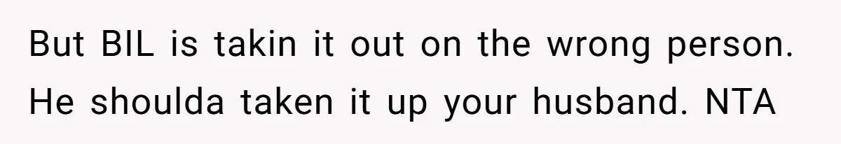 But BIL is takin it out on the wrong person. He shoulda taken it up your husband. NTA