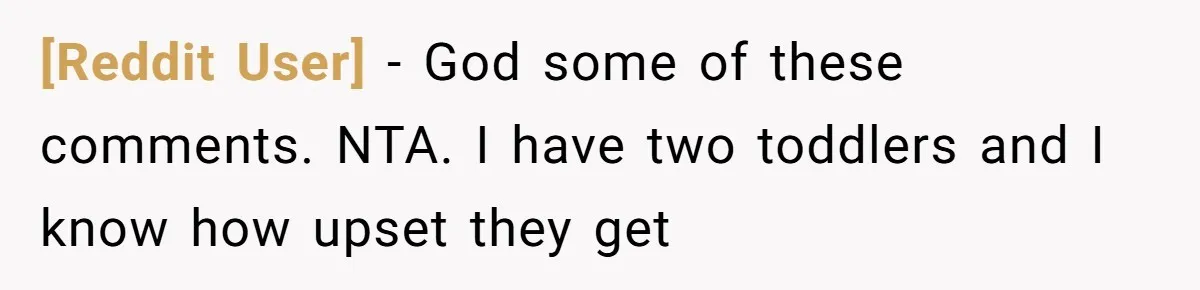 [Reddit User] − God some of these comments. NTA. I have two toddlers and I know how upset they get