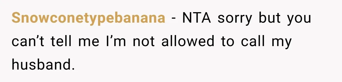 Snowconetypebanana − NTA sorry but you can’t tell me I’m not allowed to call my husband.