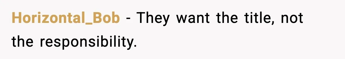 Horizontal_Bob - They want the title, not the responsibility.