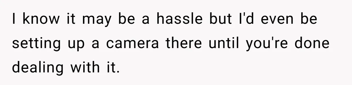 I know it may be a hassle but I'd even be setting up a camera there until you're done dealing with it.