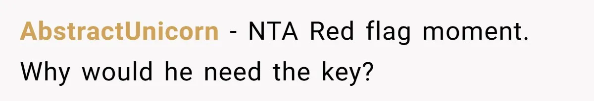 AbstractUnicorn − NTA Red flag moment. Why would he need the key?
