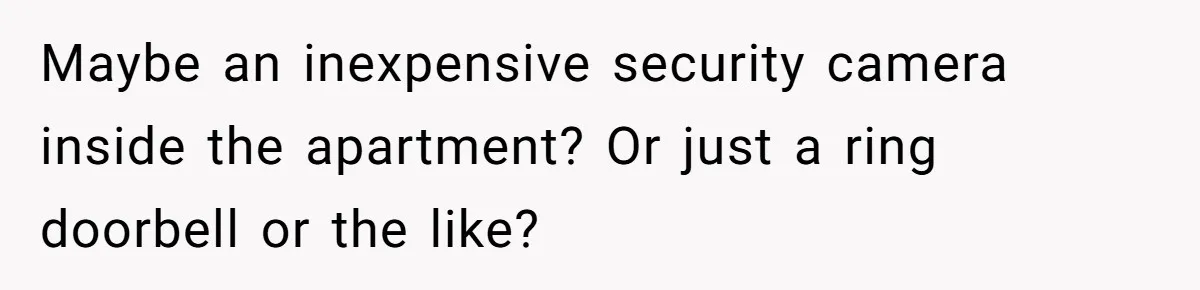 Maybe an inexpensive security camera inside the apartment? Or just a ring doorbell or the like?