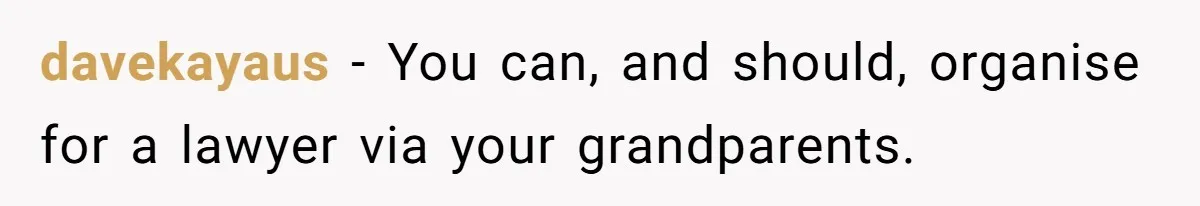 davekayaus − You can, and should, organise for a lawyer via your grandparents.