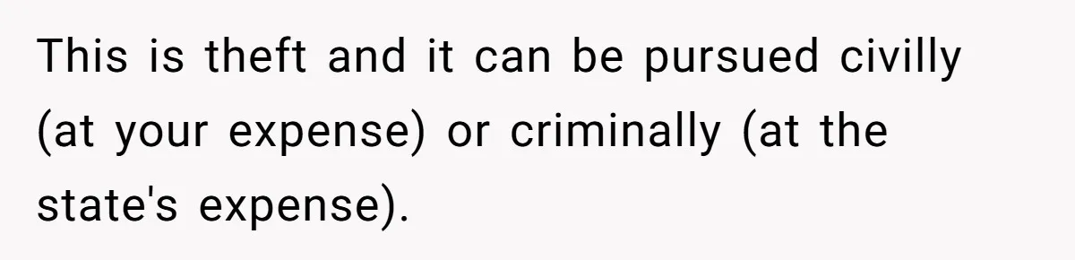 This is theft and it can be pursued civilly (at your expense) or criminally (at the state's expense).