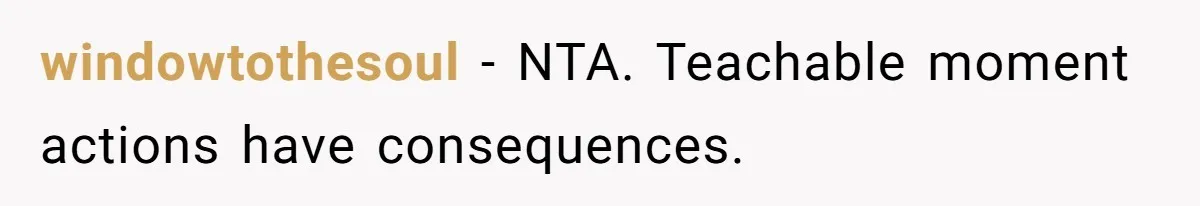 windowtothesoul − NTA. Teachable moment actions have consequences.