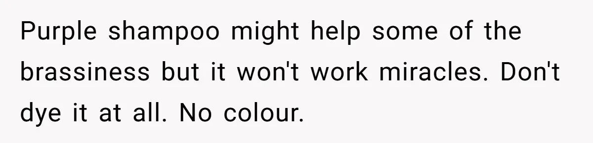 Purple shampoo might help some of the brassiness but it won't work miracles. Don't dye it at all. No colour.