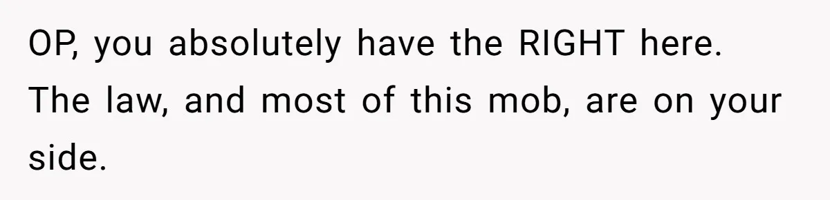 OP, you absolutely have the RIGHT here. The law, and most of this mob, are on your side.