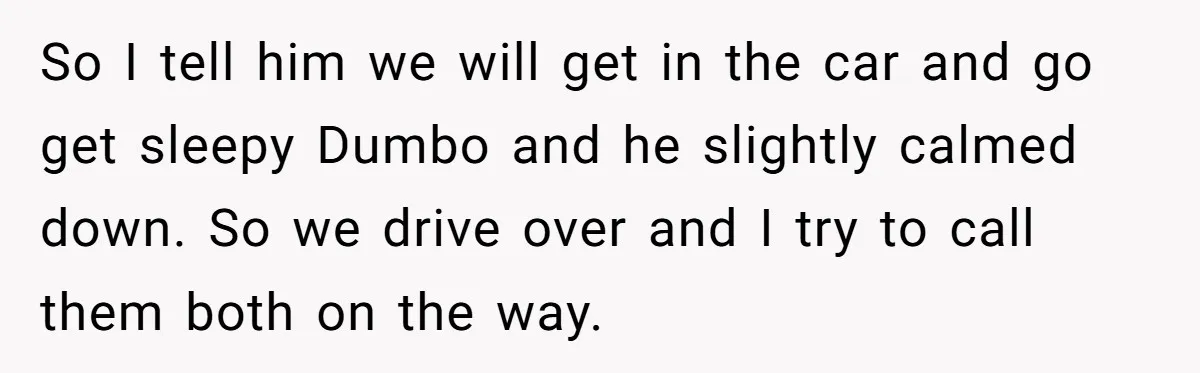 Man Drives To Friend’s House For Toddler’s Toy, Gets Accused Of “Barging In” So I tell him we will get in the car and go get sleepy Dumbo and he slightly calmed down. So we drive over and I try to call them...