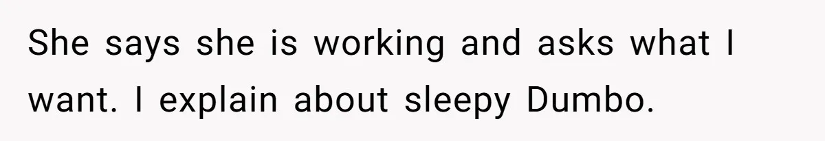 Man Drives To Friend’s House For Toddler’s Toy, Gets Accused Of “Barging In” She says she is working and asks what I want. I explain about sleepy Dumbo.