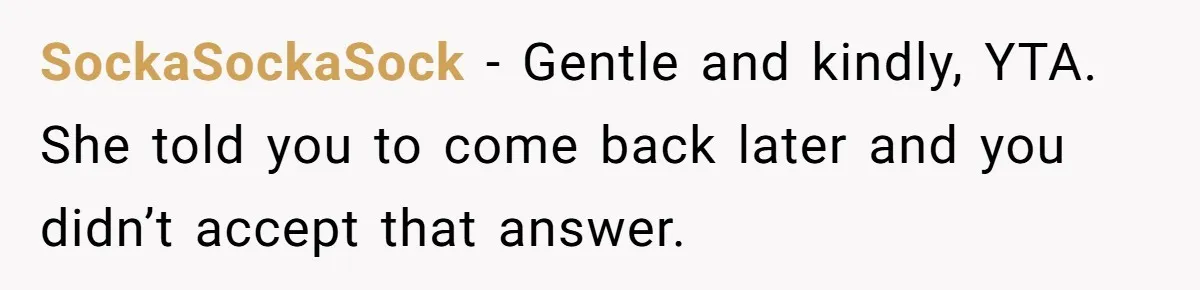 Man Drives To Friend’s House For Toddler’s Toy, Gets Accused Of “Barging In” SockaSockaSock − Gentle and kindly, YTA. She told you to come back later and you didn’t accept that answer.