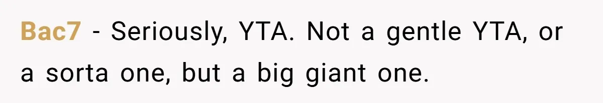 Man Drives To Friend’s House For Toddler’s Toy, Gets Accused Of “Barging In” Bac7 − Seriously, YTA. Not a gentle YTA, or a sorta one, but a big giant one.