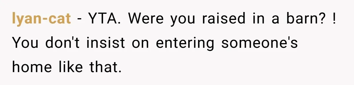 Man Drives To Friend’s House For Toddler’s Toy, Gets Accused Of “Barging In” lyan-cat − YTA. Were you raised in a barn? ! You don't insist on entering someone's home like that.